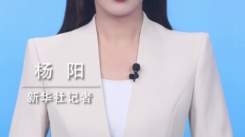 数据安全事件处理：企业如何应对与选择专业厂家